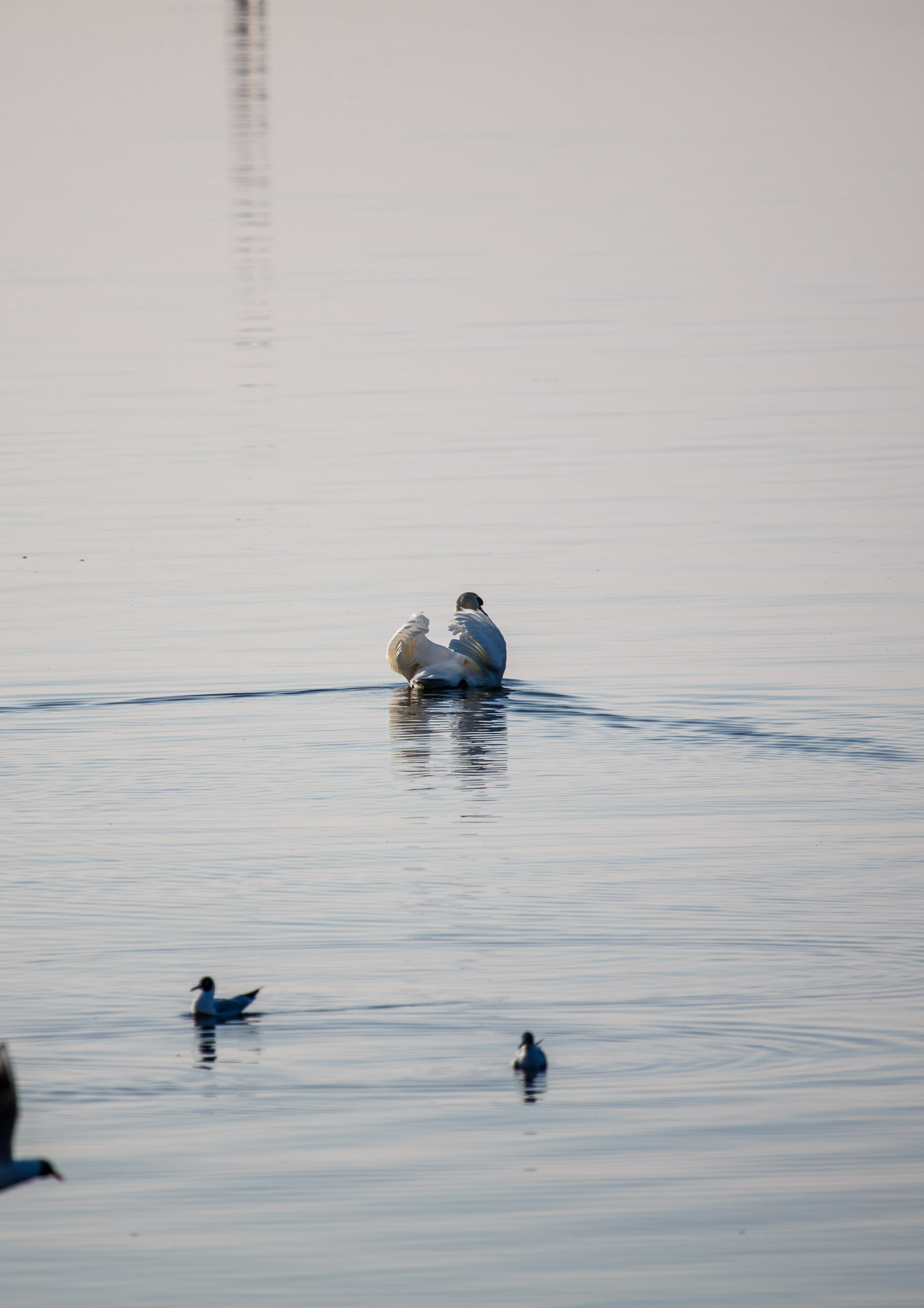 20160319172725 DP017769 2